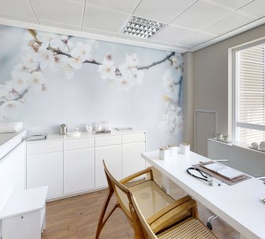 Link Studios e Offices
